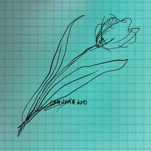 娇妻扩张拳交TXT
